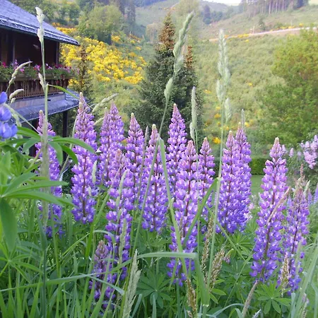 Flat In With Garden Διαμέρισμα Schmallenberg