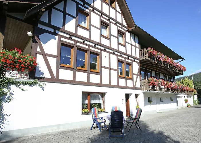 Flat In With Garden * Schmallenberg