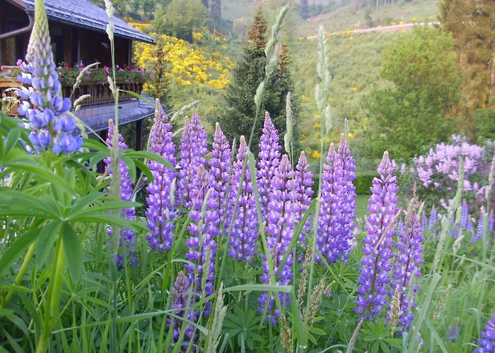 Flat In With Garden Apartman Schmallenberg